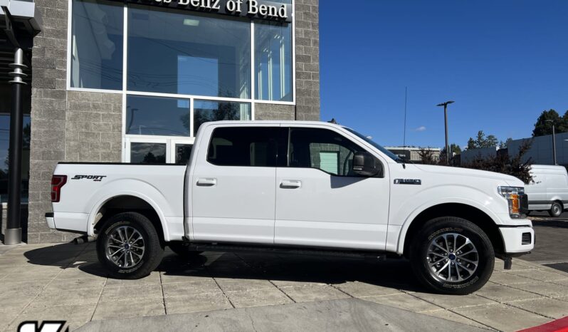Used 2020 Ford F-150 XLT 4WD SuperCrew 5.5  Box Crew Cab Pickup – 1FTEW1EPXLKF42733 full